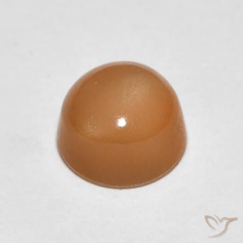 Pierre de lune Orange cantaloup naturelle Tour, 1.19 ct, Translucide