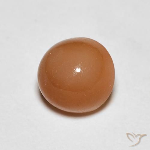Pierre de lune Pêche Orange naturelle Tour, 1.06 ct, Translucide