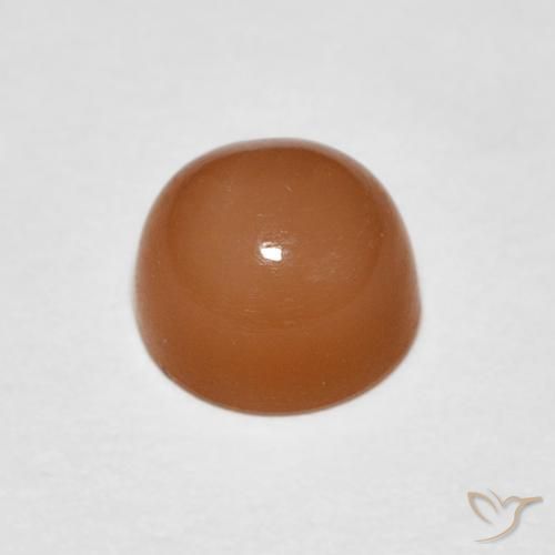 Pierre de lune Pêche Orange naturelle Tour, 1.06 ct, Translucide