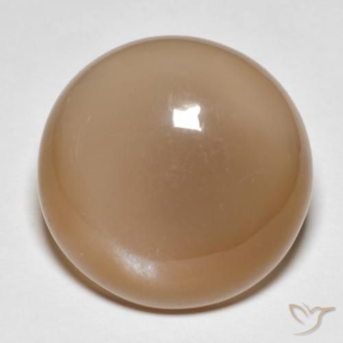 Pierre de lune Orange cantaloup naturelle Tour, 18.95 ct, Translucide