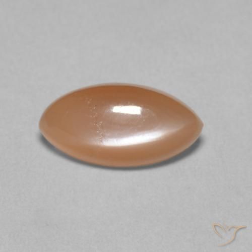 1.25ct Naturel Orange cantaloup pâle Pierre de lune, Marquise, Translucide
