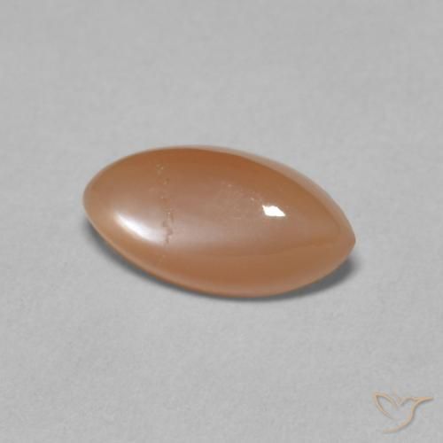 Pierre de lune Orange cantaloup pâle naturelle Marquise, 1.25 ct, Translucide