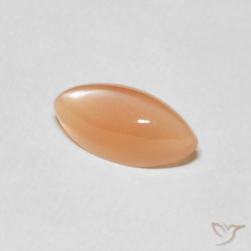 Pierre de lune Medium Light-Orange naturelle Marquise, 1.27 ct, Translucide