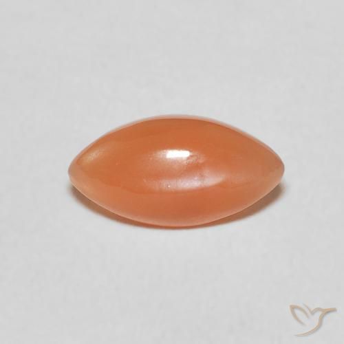 0.89ct Naturel Orange moyen Pierre de lune, Marquise, Translucide
