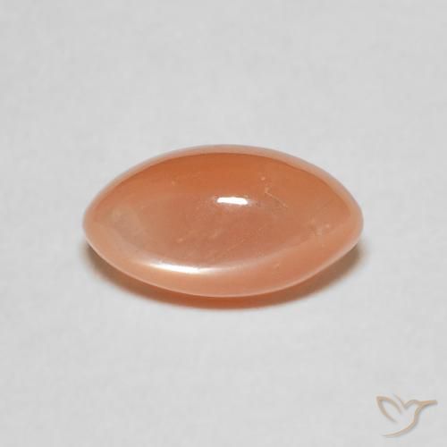 1.34ct Naturel Orange moyen Pierre de lune, Marquise, Translucide