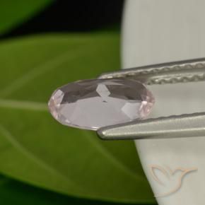 Morganite Flamant rose naturelle ovale, 0.82 ct, VVS-VS