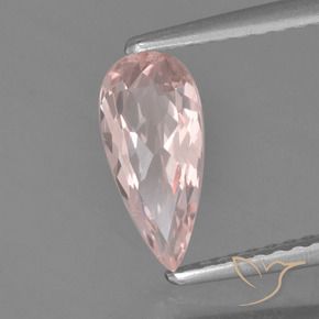 Morganite Rose clair naturelle En forme de poire, 0.77 ct, VVS-VS