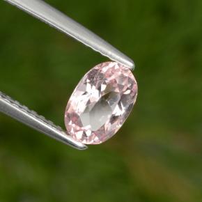 Morganite rose naturelle coupe ovale, 1,00 ct, VS