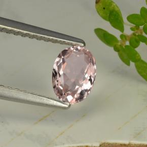 Morganite rose naturelle coupe ovale, 0,64 ct, VVS-VS