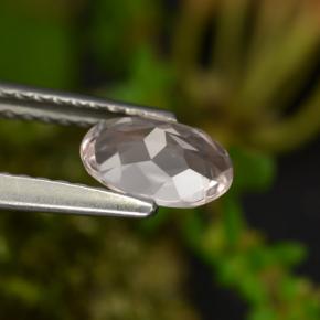 Morganite rose naturelle coupe ovale, 0,60 ct, VVS-VS