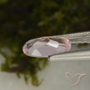 Morganite Rose clair naturelle ovale, 0.46 ct, VVS-VS