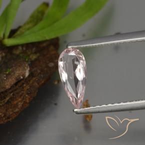 Morganite Rose clair naturelle En forme de poire, 0.44 ct, VVS-VS