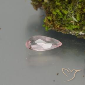 Morganite rose naturelle en forme de poire, 0,66 ct, VS