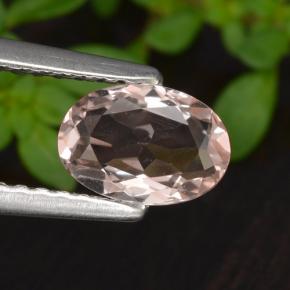 Morganite Rose clair naturelle Coupe ovale, 0.60 ct, VVS