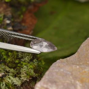 Morganite rose clair naturelle en forme de poire, 0,49 ct, VVS