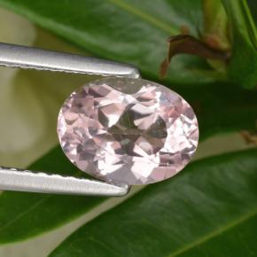 Morganite rose naturelle coupe ovale, 1,26 ct, VVS