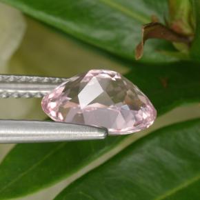 Morganite rose naturelle coupe ovale, 1,26 ct, VVS