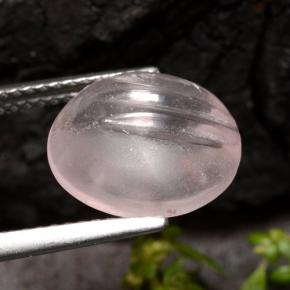 Morganite rose clair naturelle coupe roude, 5,65 ct, transparent