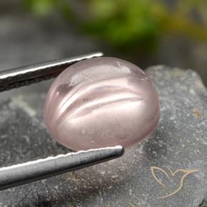 Morganite Rose corail léger naturelle Tour, 3.67 ct, Transparent