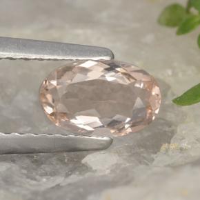 Morganite rose naturelle coupe ovale, 0,54 ct, VVS