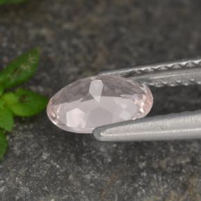 Morganite rose naturelle coupe ovale, 0,53 ct, VVS