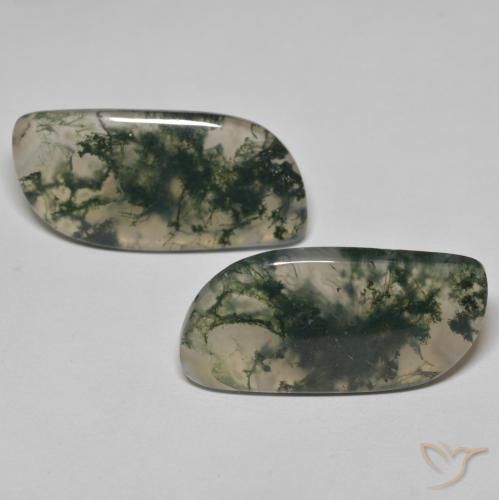 33.46ctw Naturel Multicolore Agate mousse, Fantaisie, Transparent