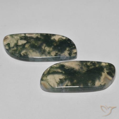 Shop natural 33.46ct Multicolore Agate mousse gems, Fantaisie, from Inde at GemSelect. In stock, global shipping!