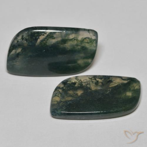Shop natural 22.84ct Multicolore Agate mousse gems, Fantaisie, from Inde at GemSelect. In stock, global shipping!