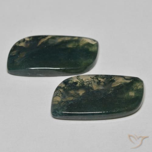 Shop natural 22.84ct Multicolore Agate mousse gems, Fantaisie, from Inde at GemSelect. In stock, global shipping!