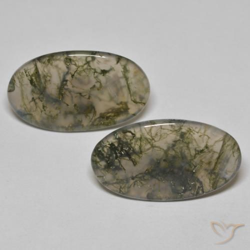 19.45ctw Naturel Multicolore Agate mousse, ovale, Transparent