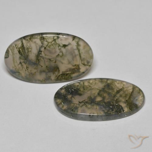 Shop natural 19.45ct Multicolore Agate mousse gems, ovale, from Inde at GemSelect. In stock, global shipping!