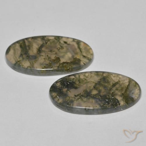 Shop natural 19.45ct Multicolore Agate mousse gems, ovale, from Inde at GemSelect. In stock, global shipping!