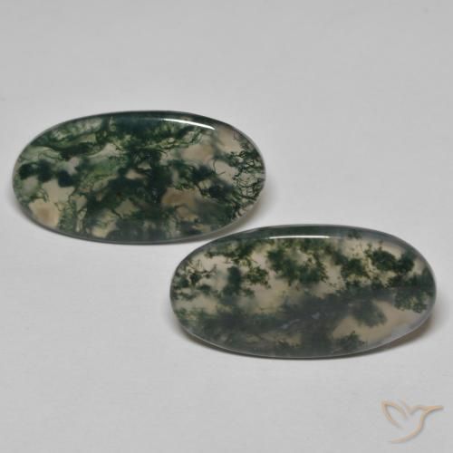 24.09ctw Naturel Multicolore Agate mousse, ovale, Transparent