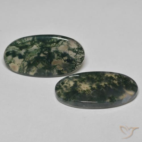Shop natural 24.09ct Multicolore Agate mousse gems, ovale, from Inde at GemSelect. In stock, global shipping!