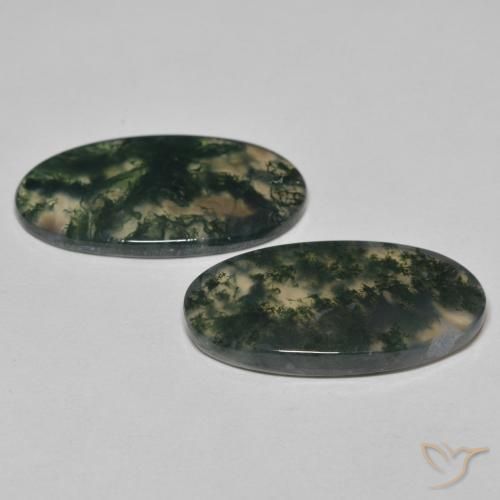 Shop natural 24.09ct Multicolore Agate mousse gems, ovale, from Inde at GemSelect. In stock, global shipping!