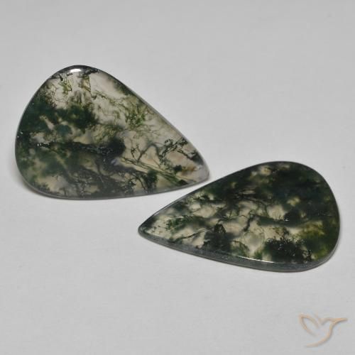 Shop natural 21.96ct Multicolore Agate mousse gems, En forme de poire, from Inde at GemSelect. In stock, global shipping!