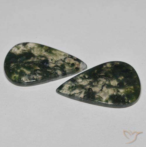 Shop natural 21.96ct Multicolore Agate mousse gems, En forme de poire, from Inde at GemSelect. In stock, global shipping!