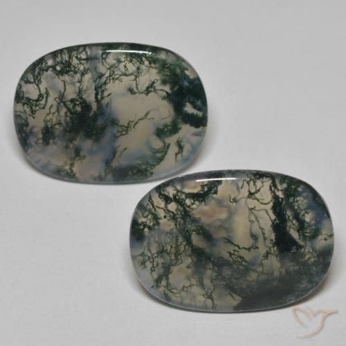 23.13ctw Naturel Multicolore Agate mousse, Coussin, Transparent