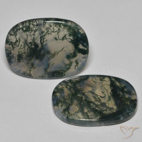 Shop natural 23.13ct Multicolore Agate mousse gems, Coussin, from Inde at GemSelect. In stock, global shipping!