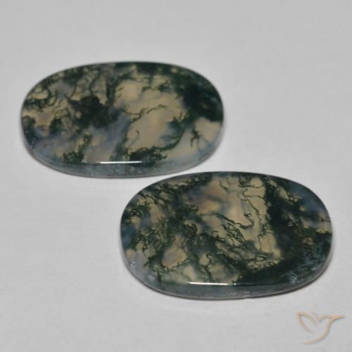 Shop natural 23.13ct Multicolore Agate mousse gems, Coussin, from Inde at GemSelect. In stock, global shipping!