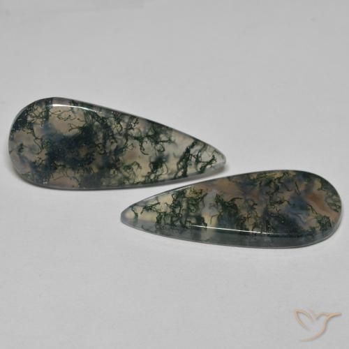 Shop natural 20.61ct Multicolore Agate mousse gems, En forme de poire, from Inde at GemSelect. In stock, global shipping!