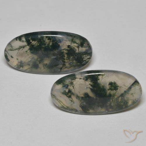 24.65ctw Naturel Multicolore Agate mousse, ovale, Transparent