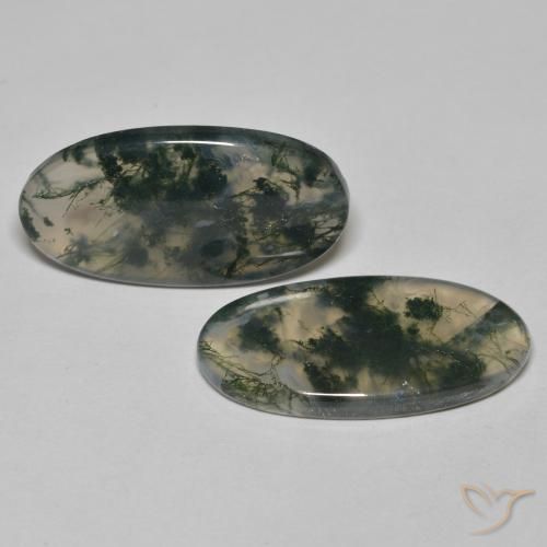 Shop natural 24.65ct Multicolore Agate mousse gems, ovale, from Inde at GemSelect. In stock, global shipping!