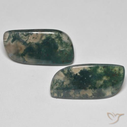 19.80ctw Naturel Multicolore Agate mousse, Fantaisie, Transparent