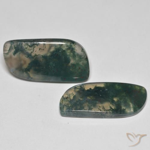 Shop natural 19.80ct Multicolore Agate mousse gems, Fantaisie, from Inde at GemSelect. In stock, global shipping!