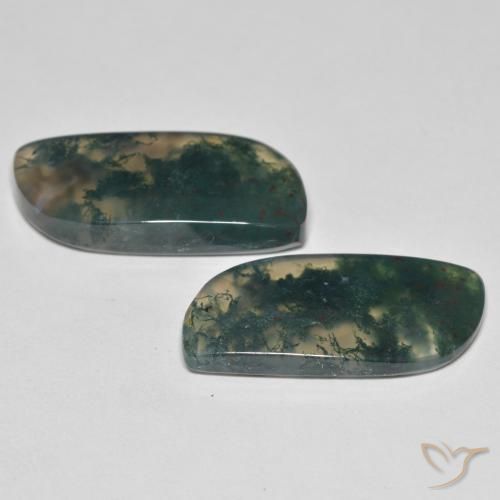 Shop natural 19.80ct Multicolore Agate mousse gems, Fantaisie, from Inde at GemSelect. In stock, global shipping!
