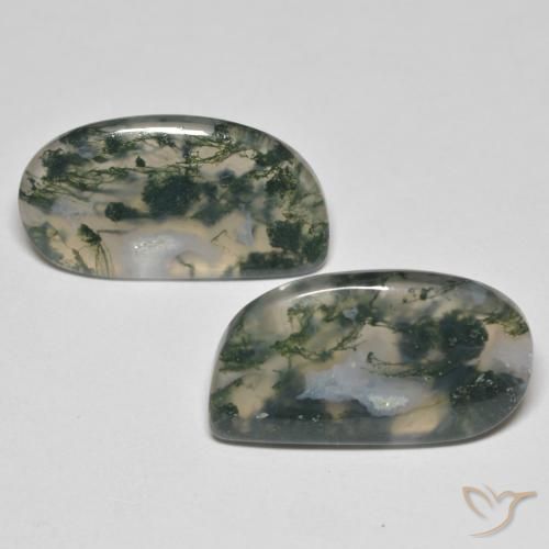 23.30ctw Naturel Multicolore Agate mousse, Fantaisie, Transparent