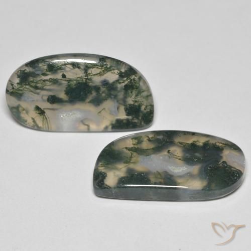 Shop natural 23.30ct Multicolore Agate mousse gems, Fantaisie, from Inde at GemSelect. In stock, global shipping!