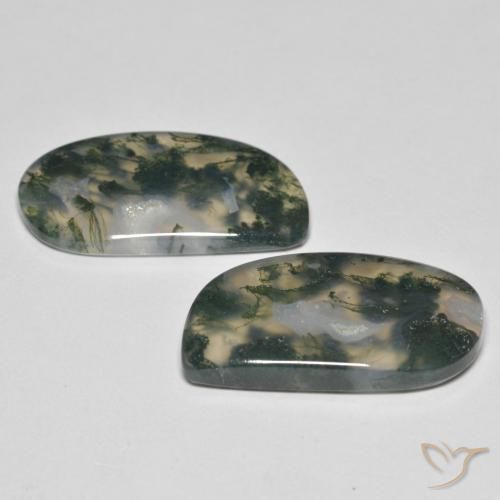 Shop natural 23.30ct Multicolore Agate mousse gems, Fantaisie, from Inde at GemSelect. In stock, global shipping!