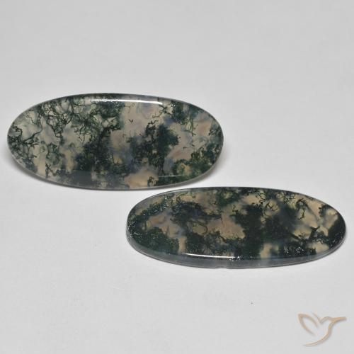 Shop natural 29.86ct Multicolore Agate mousse gems, ovale, from Inde at GemSelect. In stock, global shipping!
